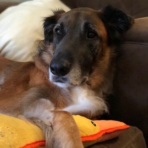 Meet your Posher, Melissa